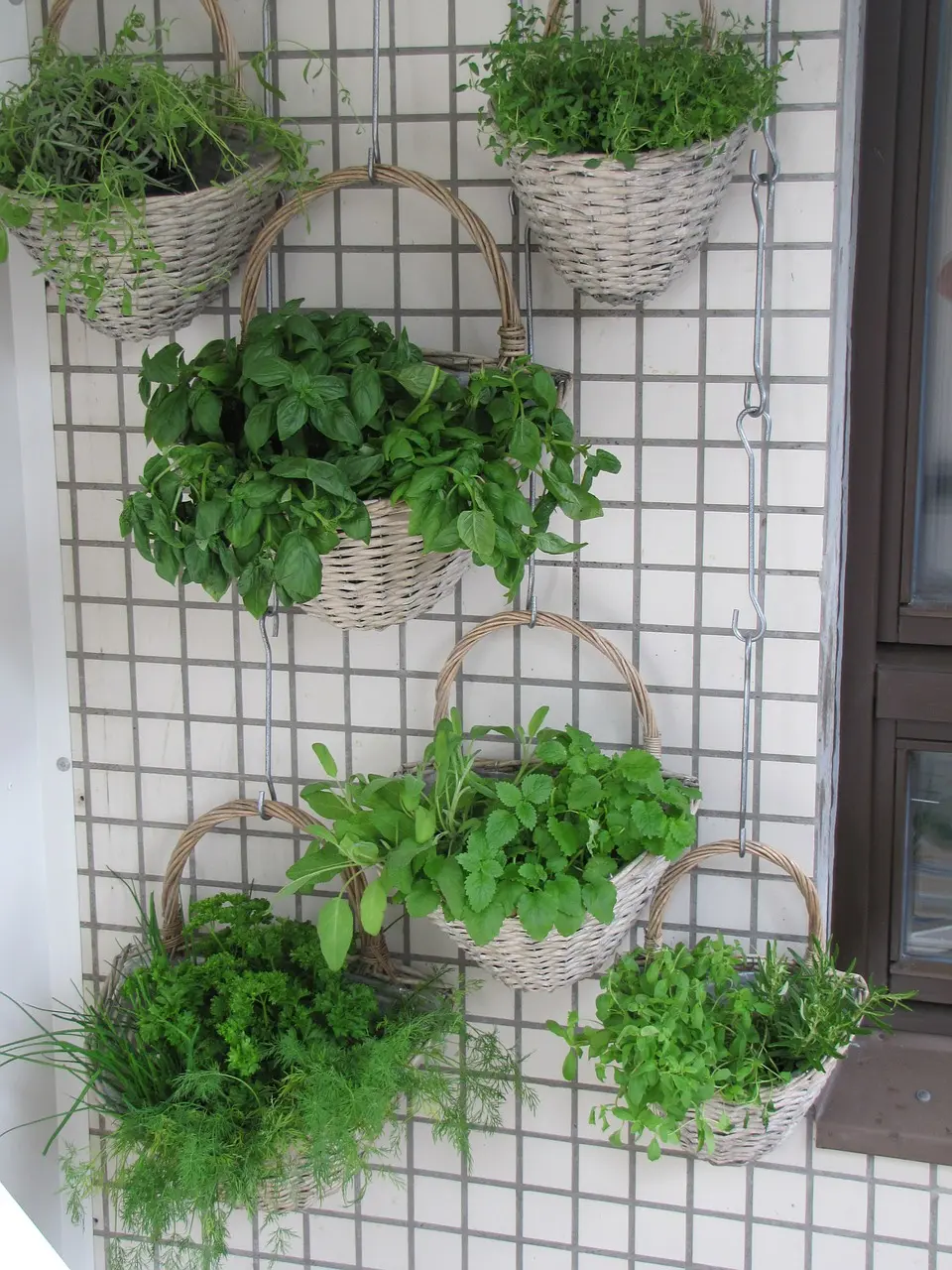 Herb-Wall